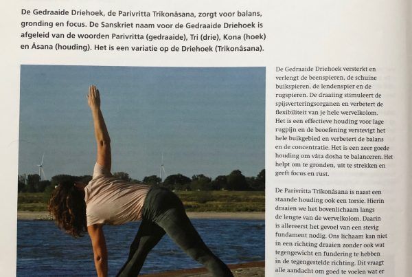Tijdschrift voor yoga